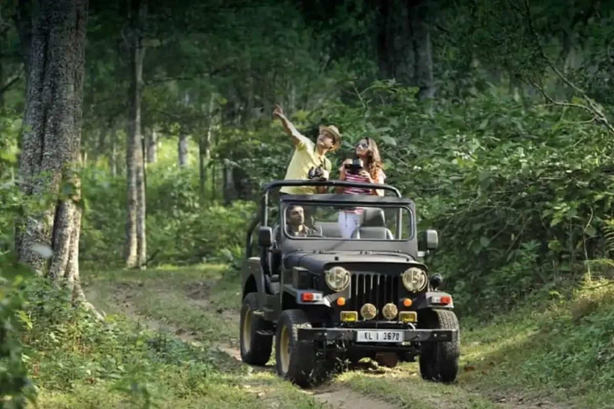 jeep jungle trail at Anandam Luxury Resort